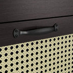 Tropical Espresso Faux Rattan Webbed 4-Drawer Mini Chest by